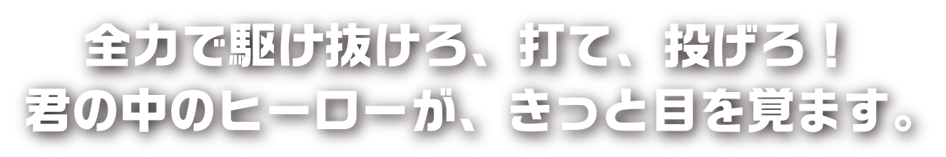 全力で駆け抜けろ、打て、投げろ！君の中のヒーローが、きっと目を覚ます。